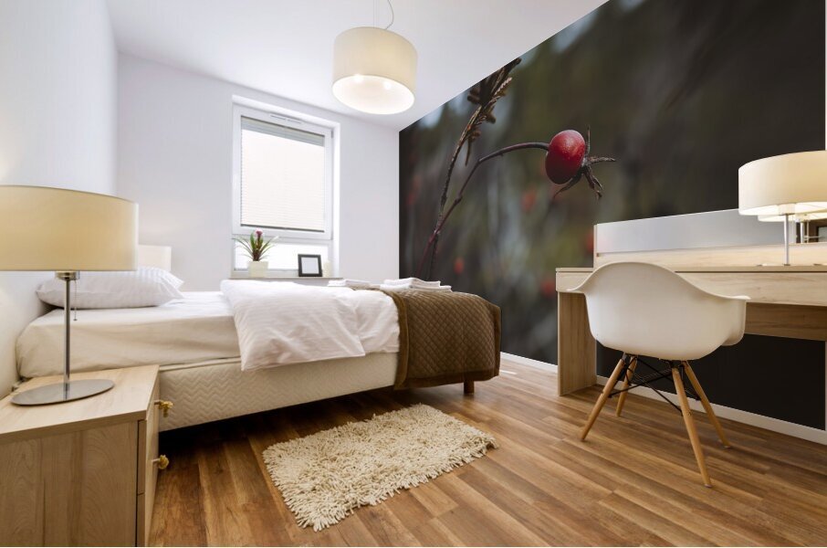  VOP5728 Mural print