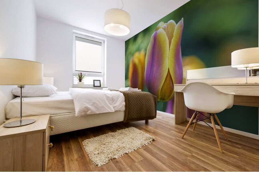 Pastel Colored Lady Mural print