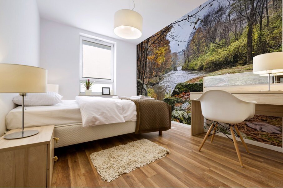 Echoes of Autumn on the Paper Mill Trail - Maine River Wall Art Mural print