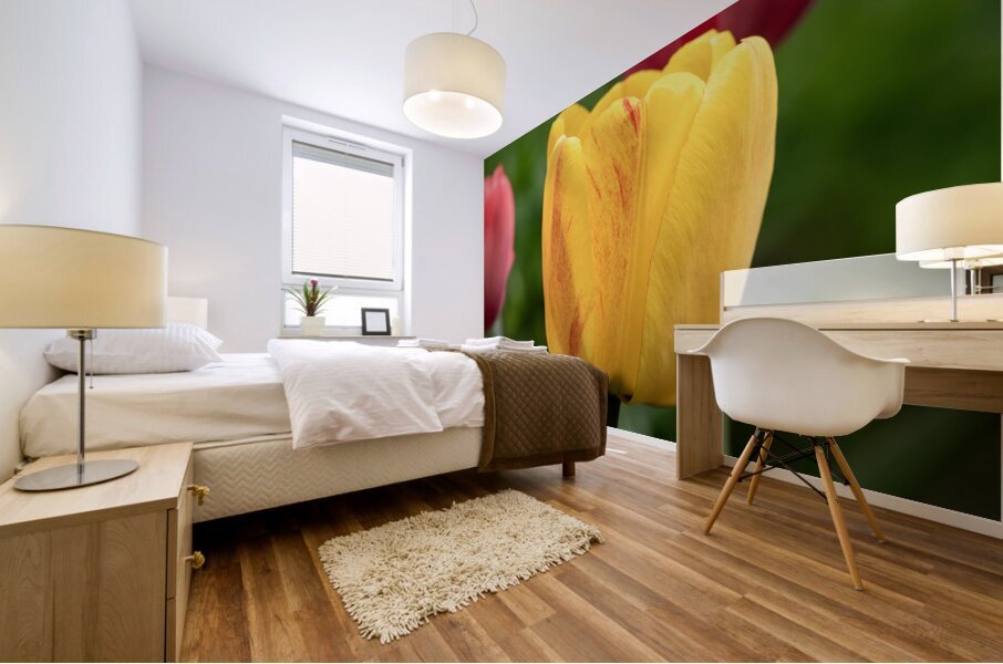 Surrounded by Beauty Mural print