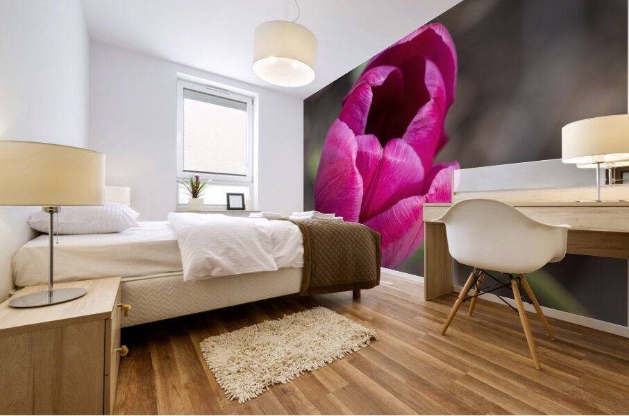 Pretty Pink Mural print