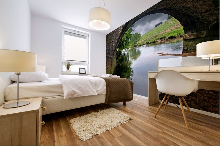 Dartmoor Through The Bridge Mural print
