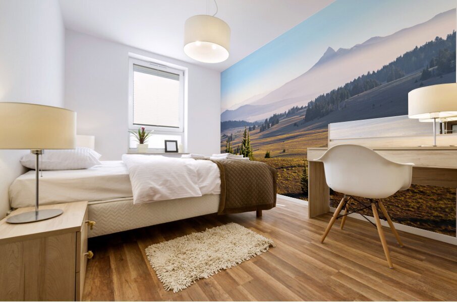 Mt Thiesen View Mural print