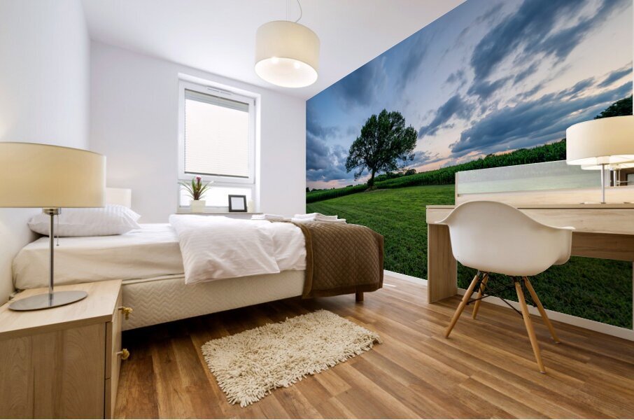 Oak Tree Farm Sunset Mural print