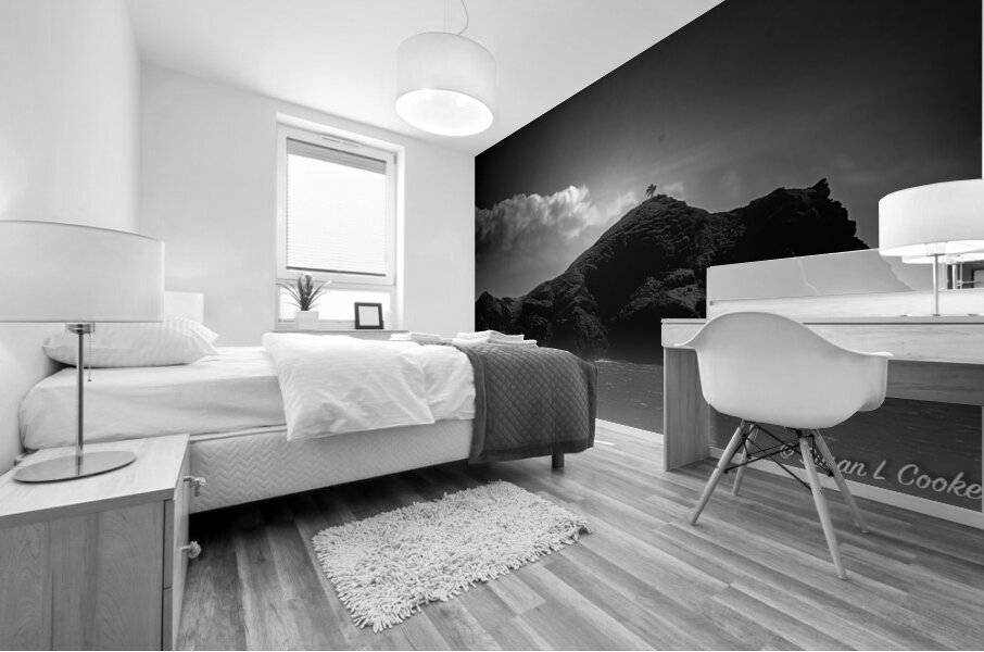 BZ9 7348 Enhanced NR Mural print