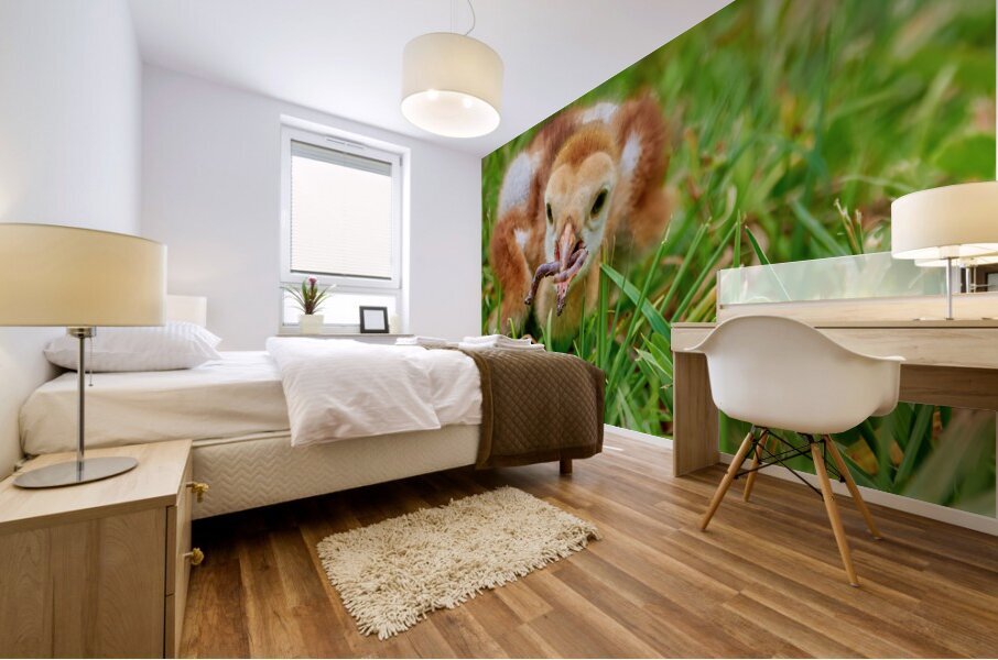 Sandhill Crane Gets the Worm Mural print