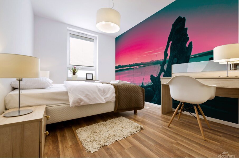 Sunrise At Goose Spit Park Mural print