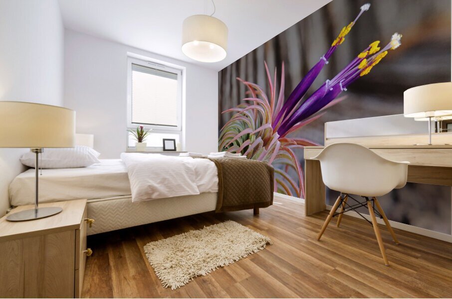 Blooming Tillandsia Mural print
