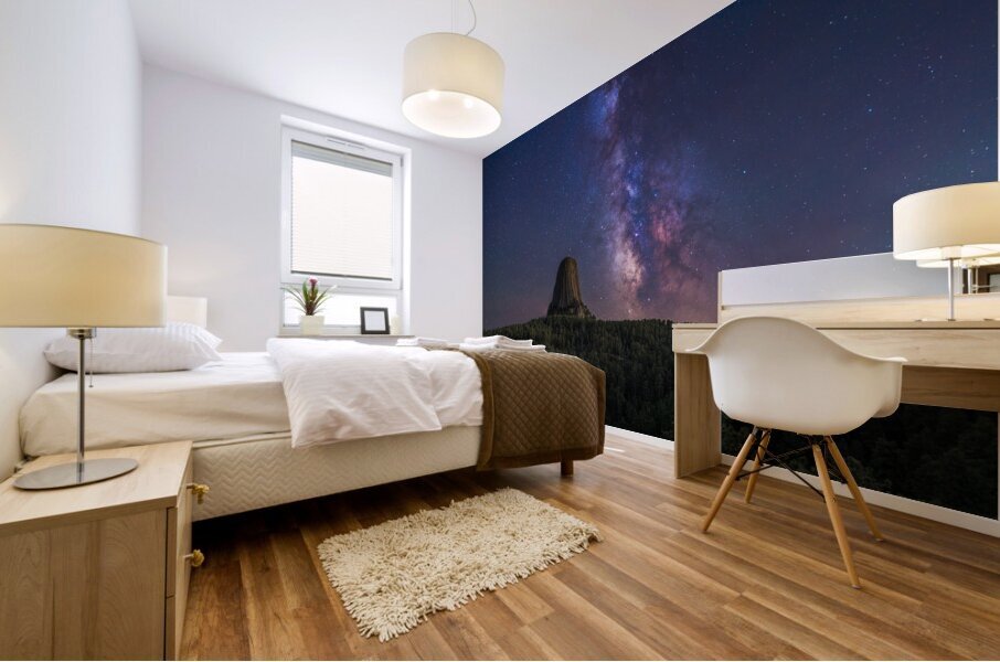 Devils Tower Milky Way Mural print