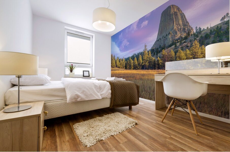 Devils Tower Sunrise Mural print