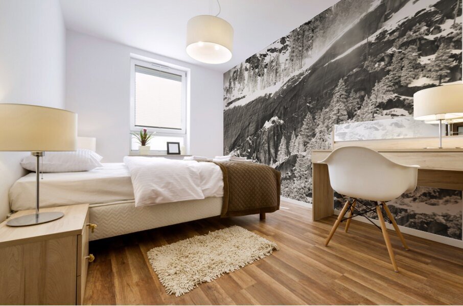 Yosemite Snow Hillside in Sepia Mural print