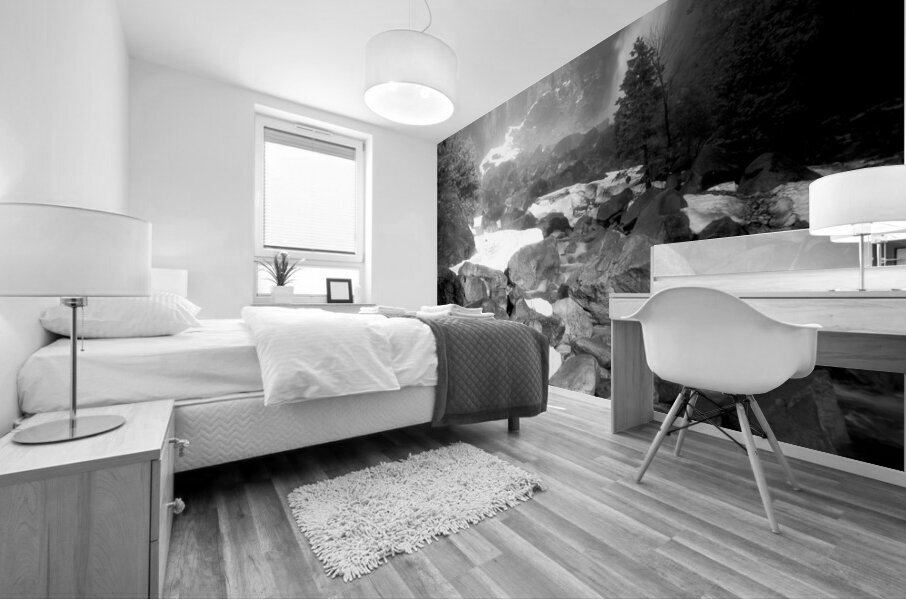 Yosemite Wonders of Winter Mural print