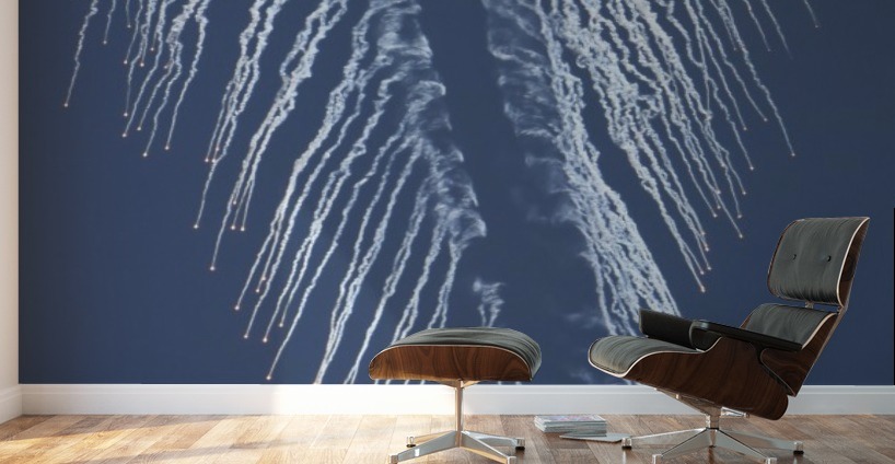 a u s air