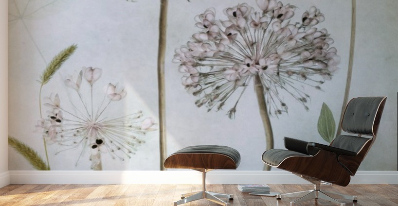 Allium Wall Murals
