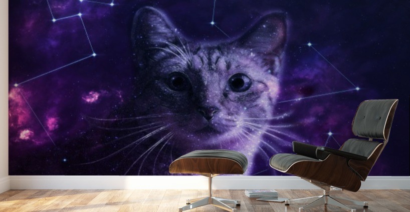 Cute Galaxy Cat Lemoboy Canvas Cute Galaxy Cat Wall Murals