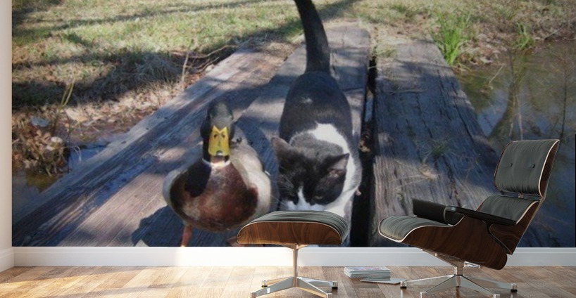 JPT 2012  Wall Murals