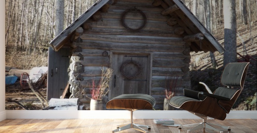 Antique Cabin Luis Toro Canvas