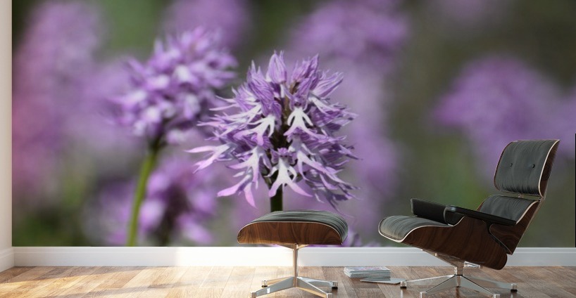 Wild Orchid Photograph Pink Puzbie Canvas