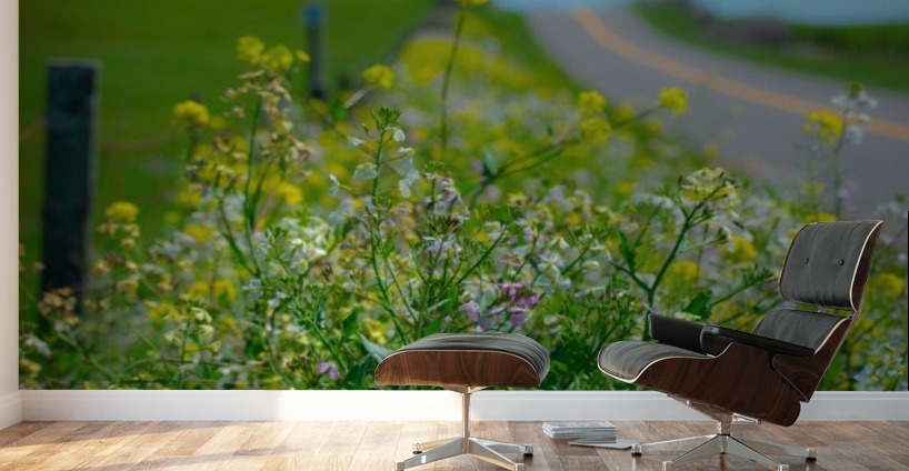 20190330 DSC_0592 Wall Murals