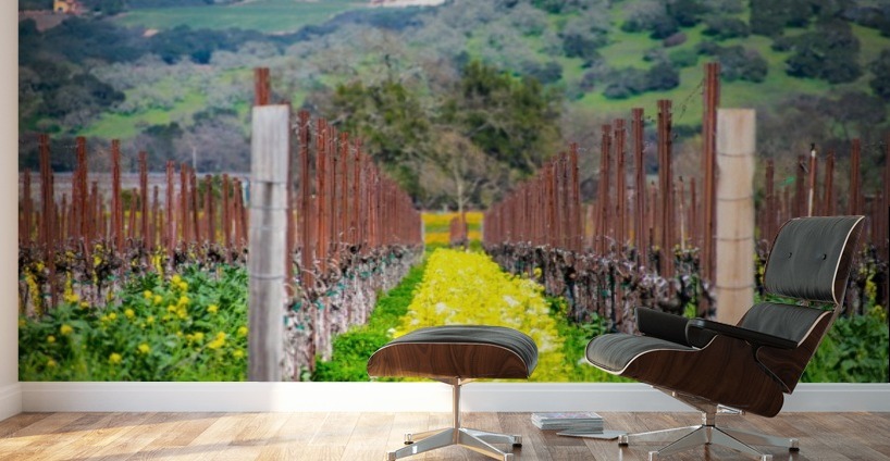 20190316 DSC_0242 Wall Murals