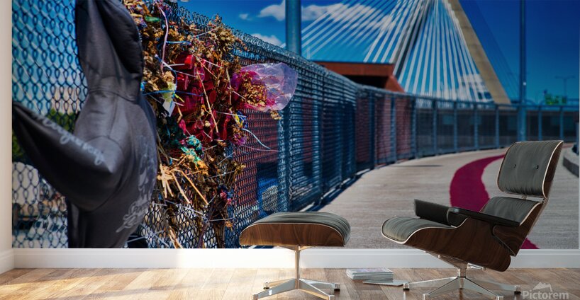 Echoes Along the Bridge Wall Murals