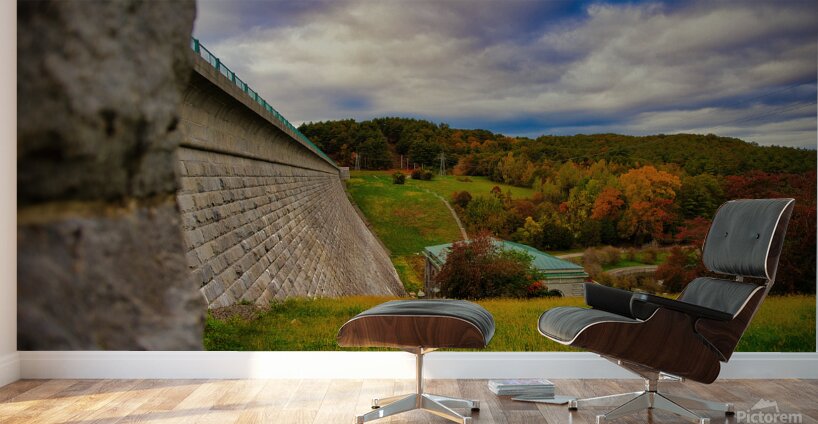 Edge of the Reservoir Wall Murals