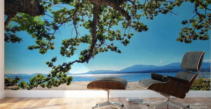 Tree and Shadow - Full Color Wall Murals