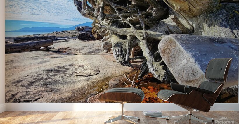 Ocean Leaves Wall Murals