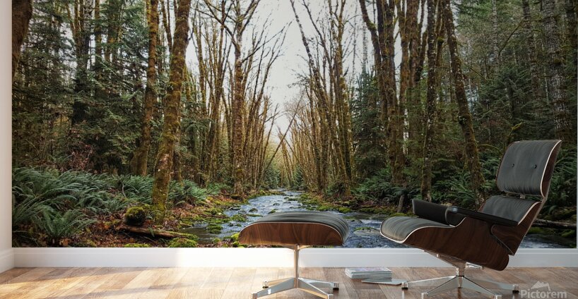 River and Forest Wall Murals