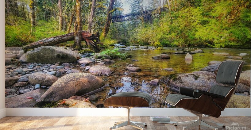 River Running under Trestle Wall Murals