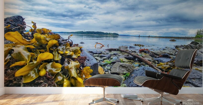 Kelp seaside in Alert Bay Wall Murals