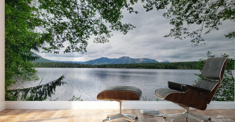 Tree Framed Nature  Wall Murals