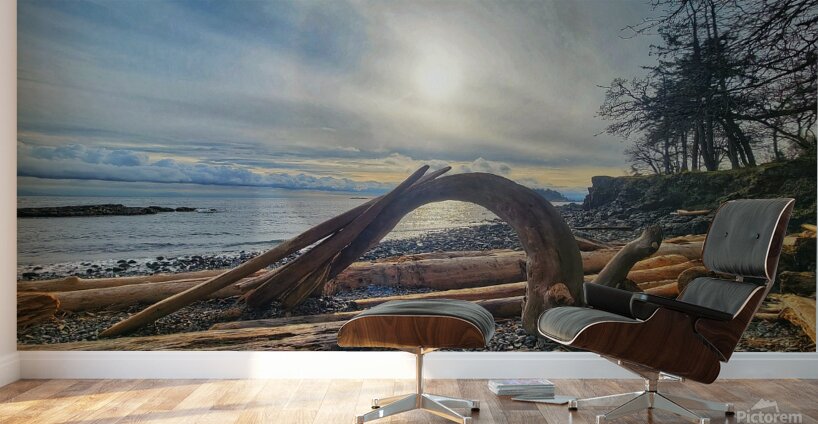 Driftwood  Wall Murals