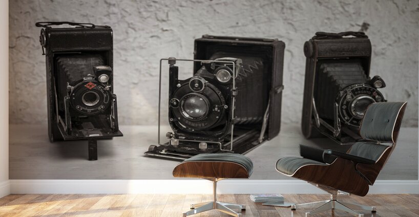 Old cameras Wall Murals