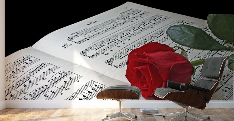 Music Lover Wall Murals