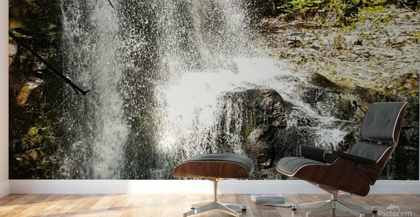 Weiner Falls Port Alberni Wall Murals