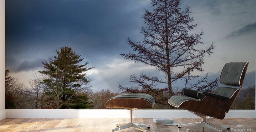 Empty Country Road Pocono Mountains Wall Murals