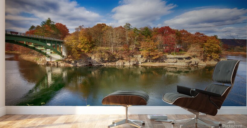 View of the Delaware River Narrowsburg NY Wall Murals