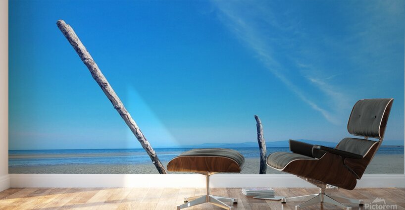 Beach Trees Wall Murals