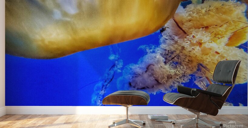 Underwater Jellyfish Wall Murals