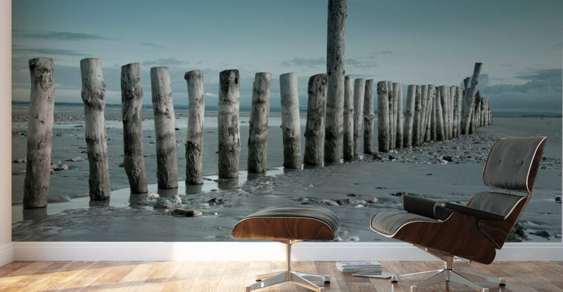 Groynes on beach Wall Murals