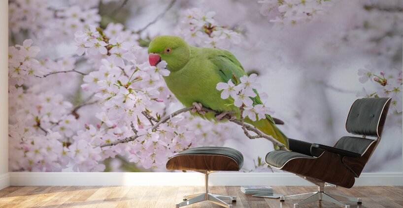 Blossom Bird Wall Murals