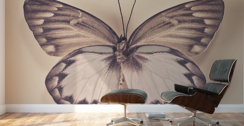 Butterfly Wall Murals