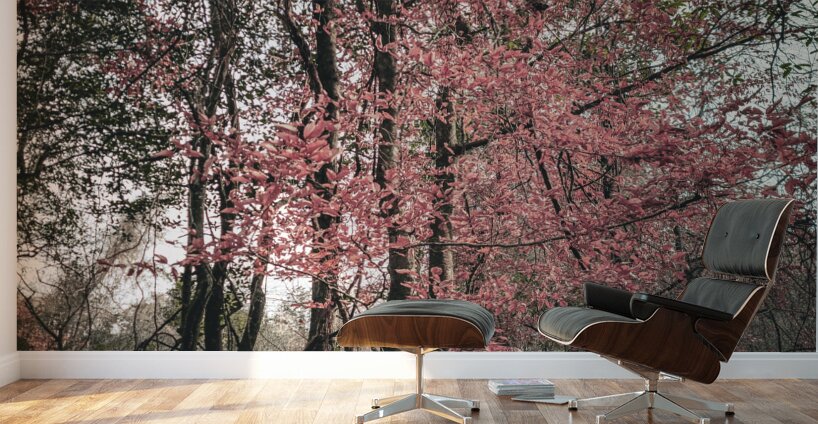 ©Charles Rain Photography Wall Murals