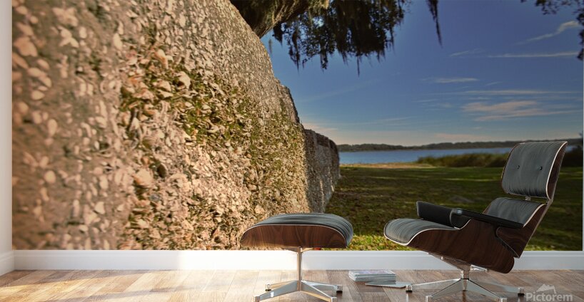 Fort Frederick Port Royal South Carolina Wall Wall Murals