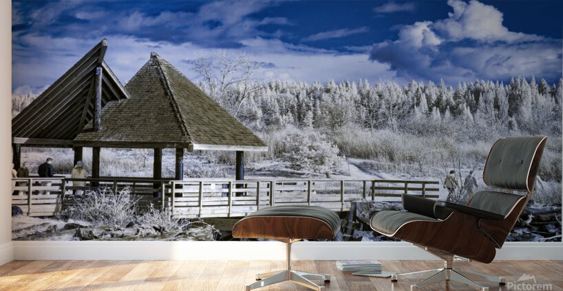 The Gazebo 2 Wall Murals