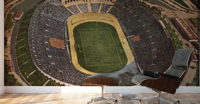 vintage los angeles coliseum viewfinder slide art Wall Murals