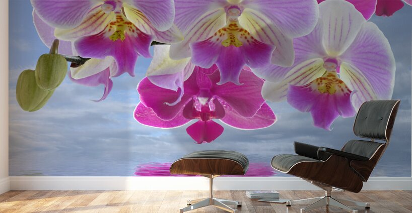 Colorful Purple Pink Orchid Spa Wall Murals
