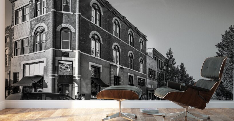 Freibergs Corner Grayscale Wall Murals