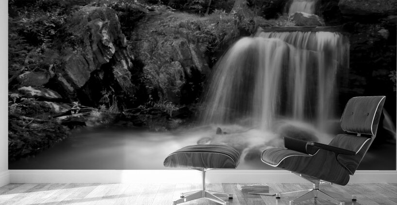 Newland Waterfalls in Grayscale Wall Murals
